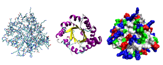 protein-triose-phosphate3